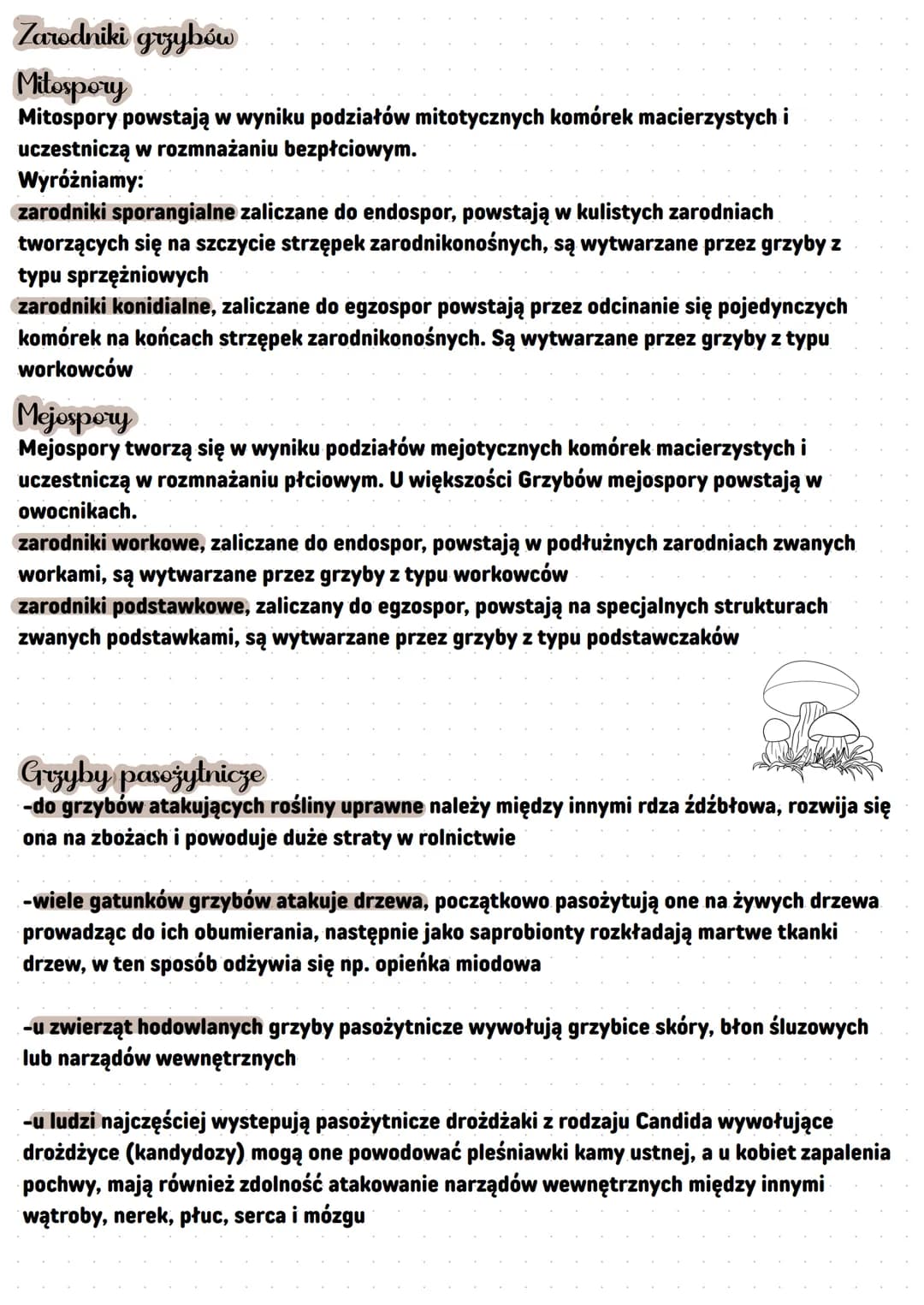 -Grzyby
heterotroficzno bozthankowco
Cechy grzybów
-wytwarzają strzępki nitkowate-struktury tworzące grzybnię, czyli ciało
grzyba
-ściany ko