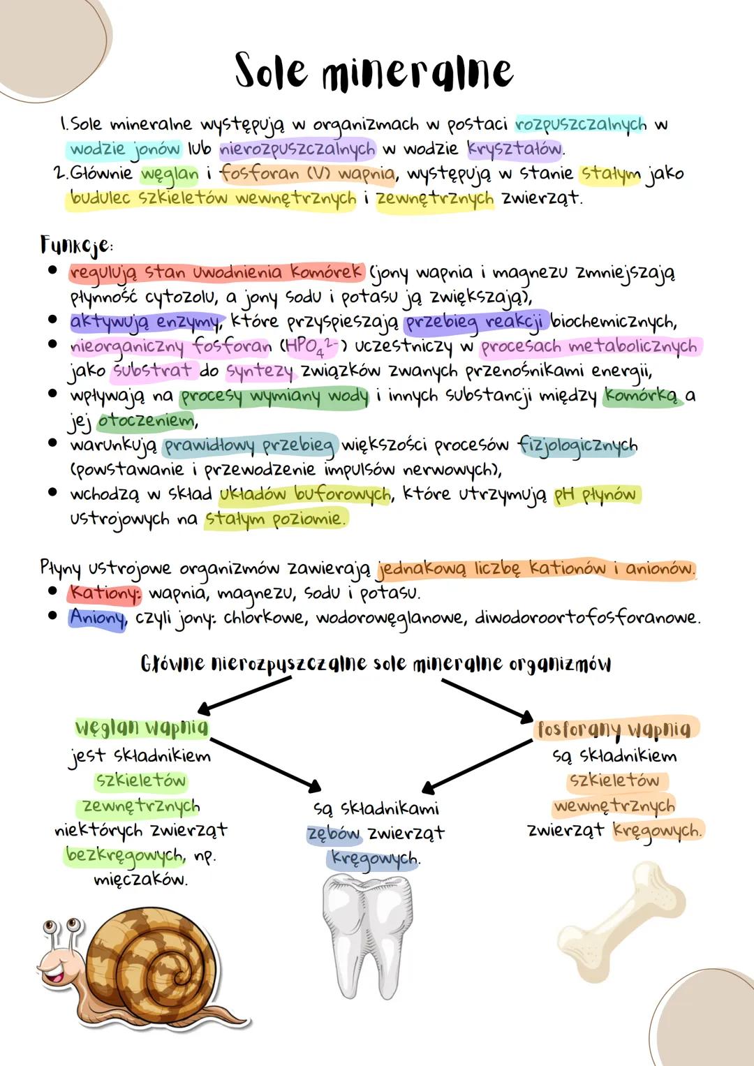 # Sole minergine

1. Sole mineralne występują w organizmach w postaci rozpuszczalnych w
wodzie jonów lub nierozpuszczalnych w wodzie kryszta