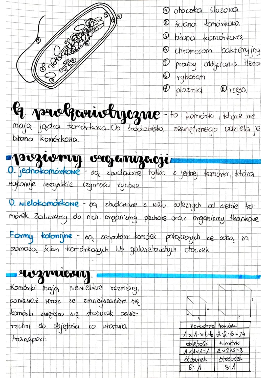 00
0.00
we
affe
Gonovan
jądro komórkowe.
mitochondrium
Ⓒ chloroplasty
siateczka śród szorstka
Ⓒsiateczka śród gładka
Ⓒaparat golgiego
lizoso