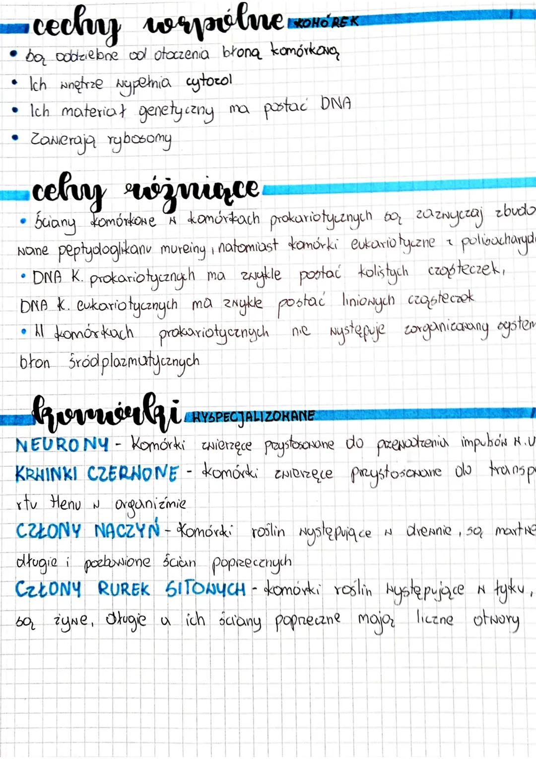 00
0.00
we
affe
Gonovan
jądro komórkowe.
mitochondrium
Ⓒ chloroplasty
siateczka śród szorstka
Ⓒsiateczka śród gładka
Ⓒaparat golgiego
lizoso