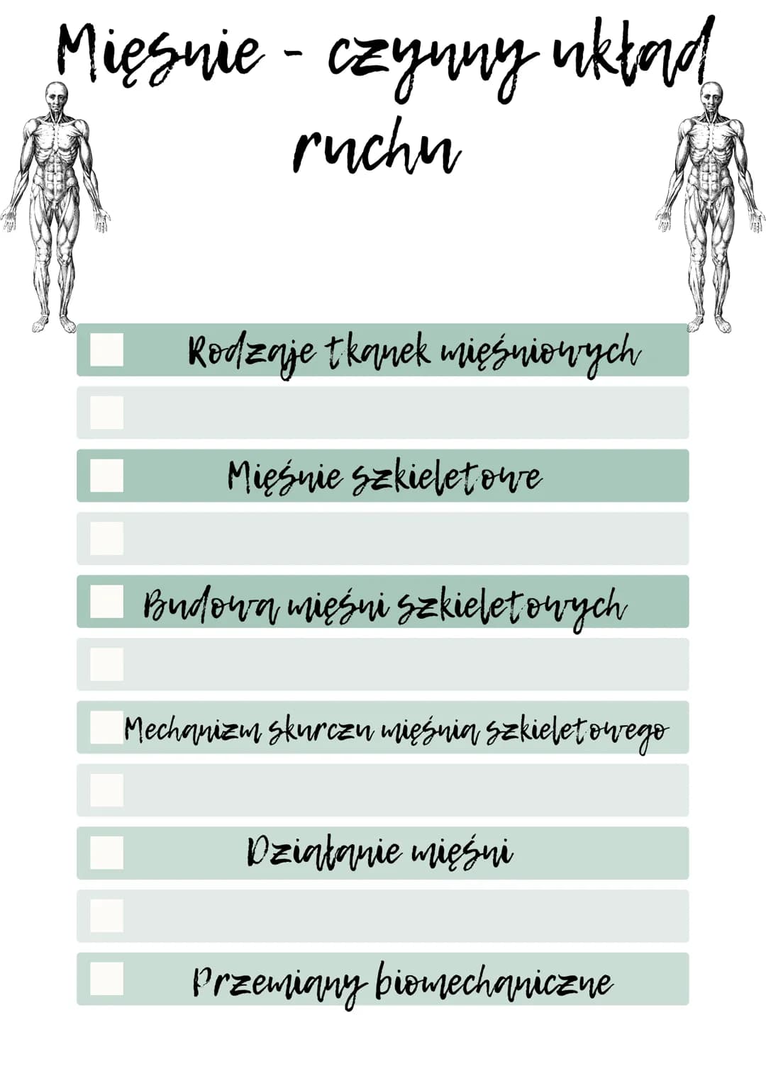 WW
Mięsnie - czynny układ
ruchu
Rodzaje tkanek mięśniowych
Mięśnie szkieletowe
Budową mięśni szkieletowych
Mechanizm skurczu mięśnią szkiele