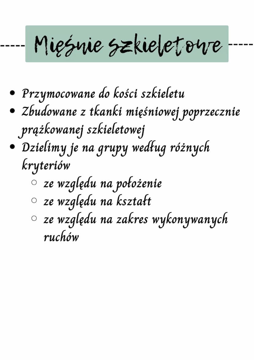 WW
Mięsnie - czynny układ
ruchu
Rodzaje tkanek mięśniowych
Mięśnie szkieletowe
Budową mięśni szkieletowych
Mechanizm skurczu mięśnią szkiele