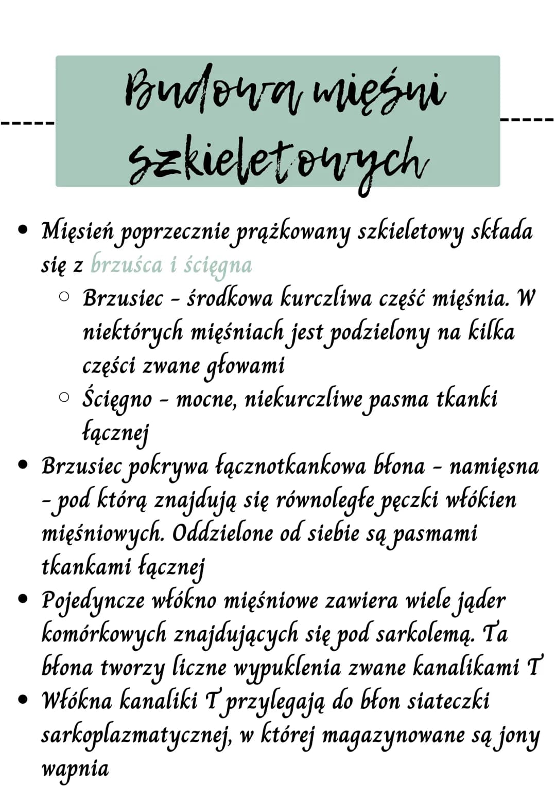 WW
Mięsnie - czynny układ
ruchu
Rodzaje tkanek mięśniowych
Mięśnie szkieletowe
Budową mięśni szkieletowych
Mechanizm skurczu mięśnią szkiele