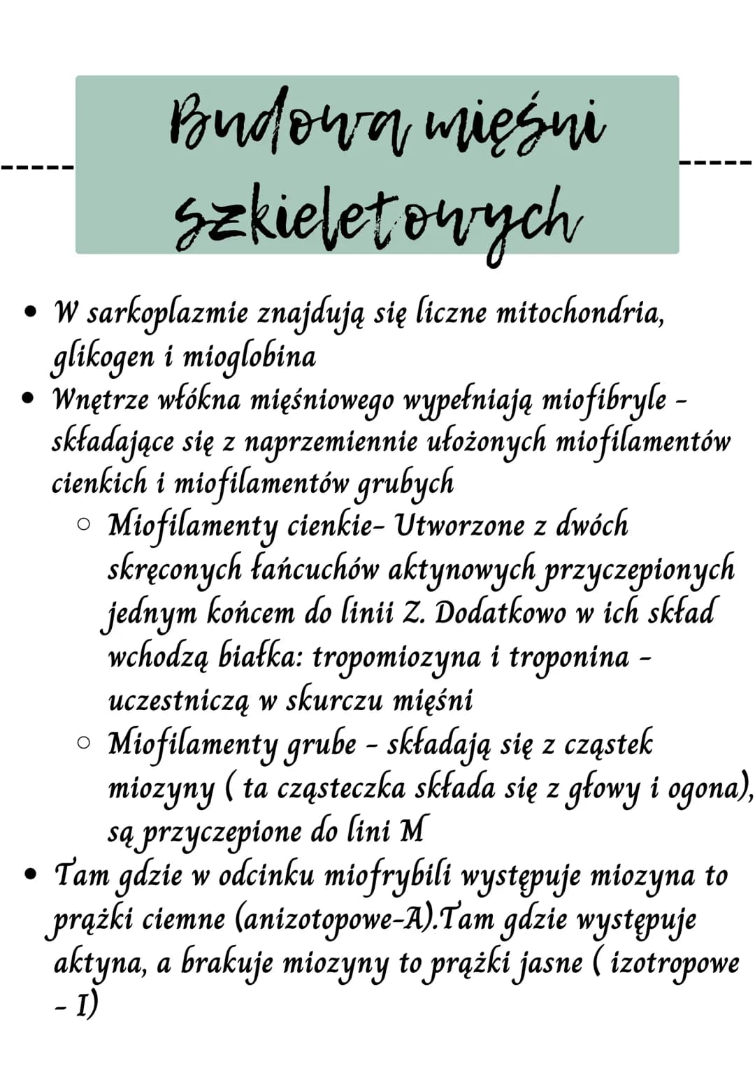 WW
Mięsnie - czynny układ
ruchu
Rodzaje tkanek mięśniowych
Mięśnie szkieletowe
Budową mięśni szkieletowych
Mechanizm skurczu mięśnią szkiele