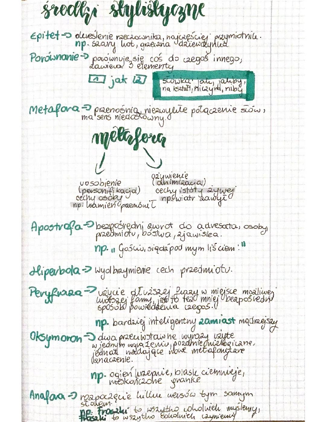Najważniejsze środki stylistyczne: przykład i opis