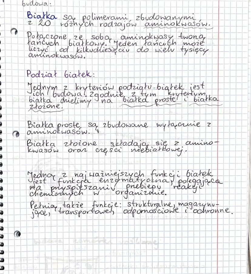 
<p>Pierwiastki biogenne to podstawowe składniki chemiczne obecne w organizmach roślinnych i zwierzęcych, takie jak węgiel (C), azot (N), wo