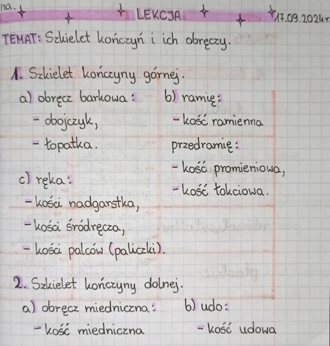 # LEKCJA

14.09.2021r

TEMAT: Szkielet kończyn i ich obręczy.

1. Szkielet kończyny górnej:

a) obręcz barkowa :
- obojczyk,
- łopatka.

b) 