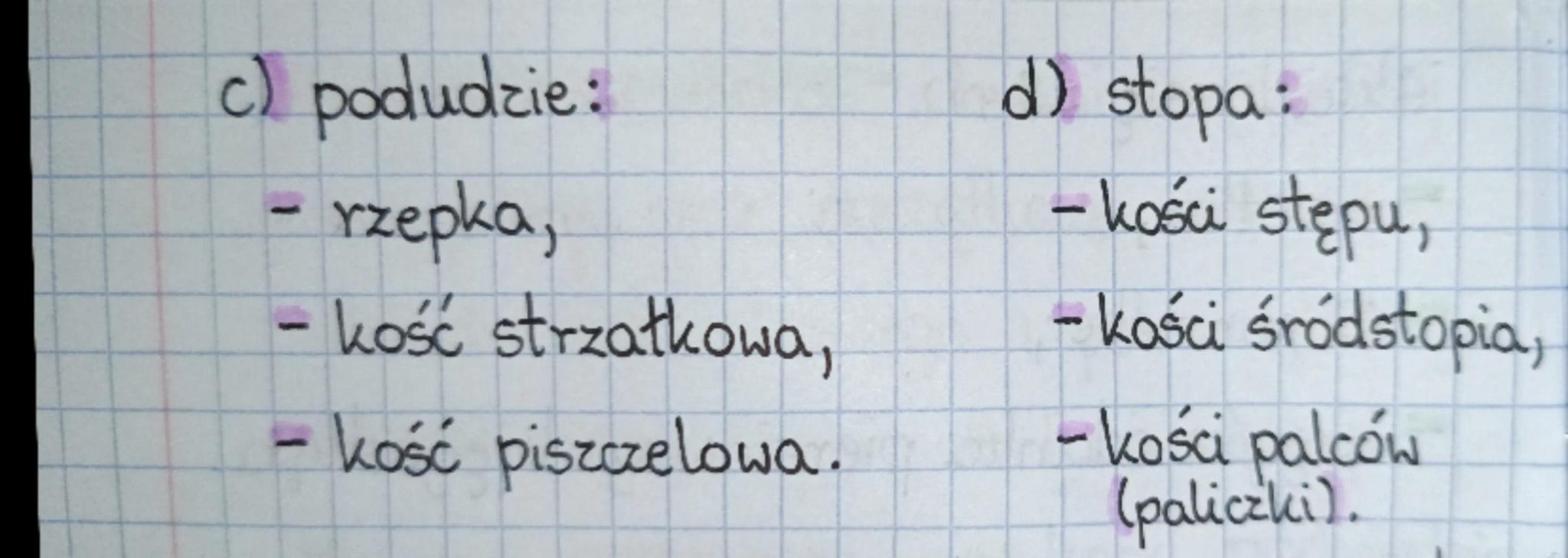 # LEKCJA

14.09.2021r

TEMAT: Szkielet kończyn i ich obręczy.

1. Szkielet kończyny górnej:

a) obręcz barkowa :
- obojczyk,
- łopatka.

b) 