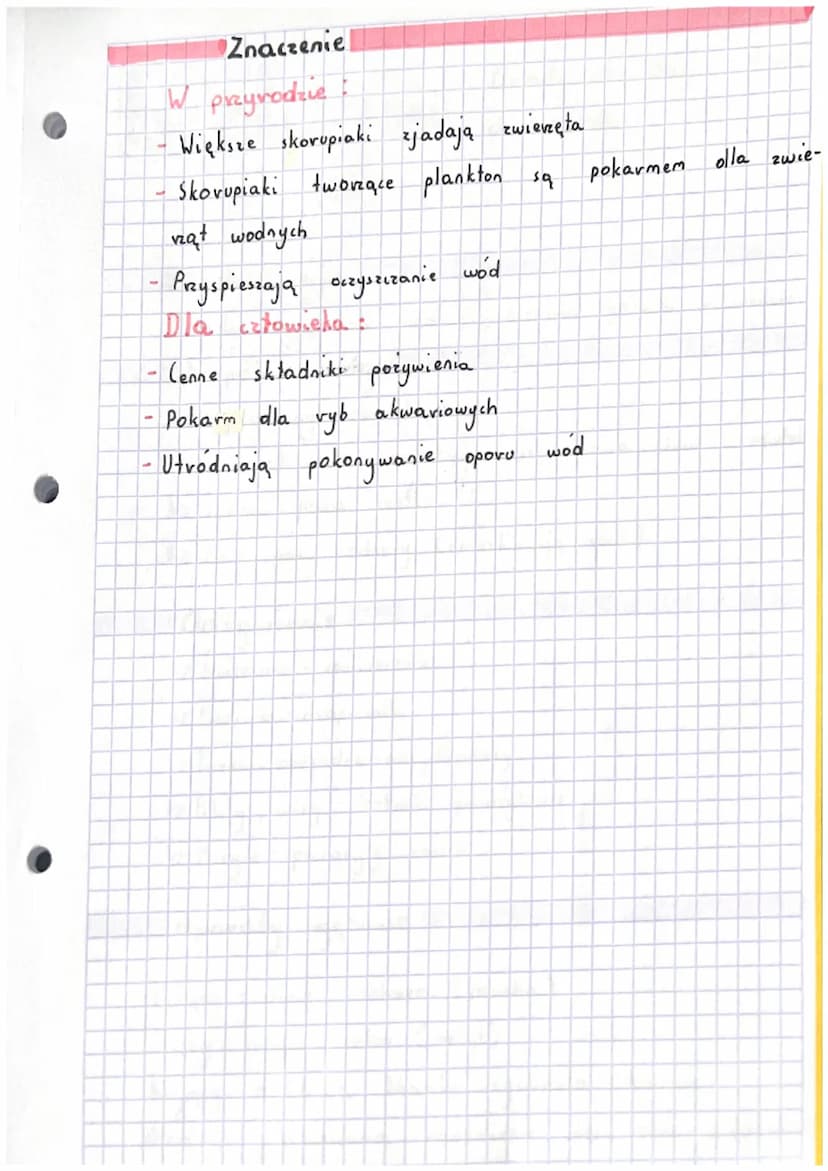 LLL
biologia
| Srodowisko życia
wodach stodkich
Zyja
spotykamy
na lądzie
bardzo wilgotnych.
W
Cechy wspólne
42 Ciato podzielone
Ly Dwie
17
g