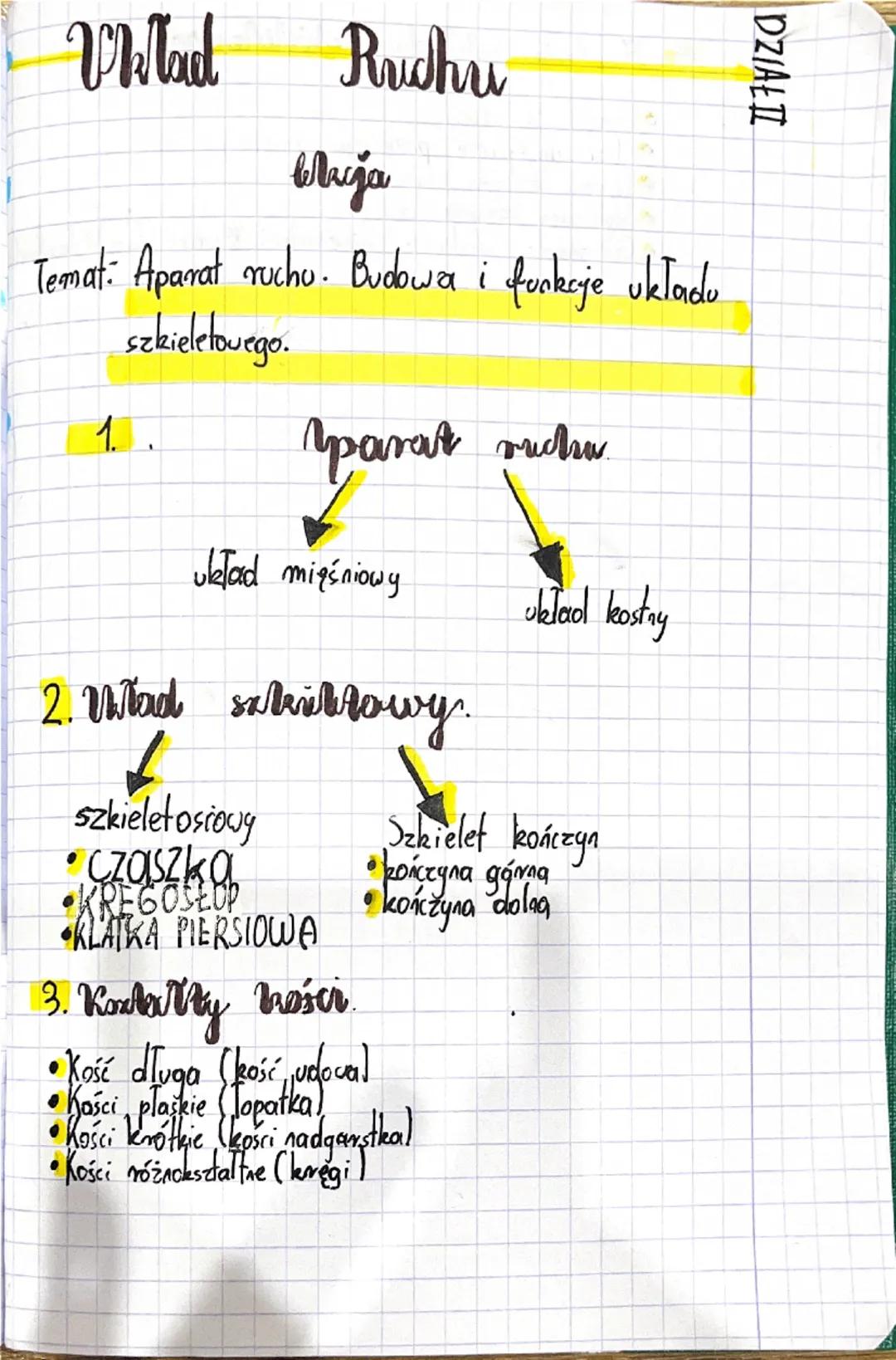 DZIAŁⅡ

Vklad Richri

Maja

Temat: Aparat ruchu. Budowa i funkcije układu
szkieletowego.

1..

parat ruchu

układ mięśniowy

uklad kostry

2