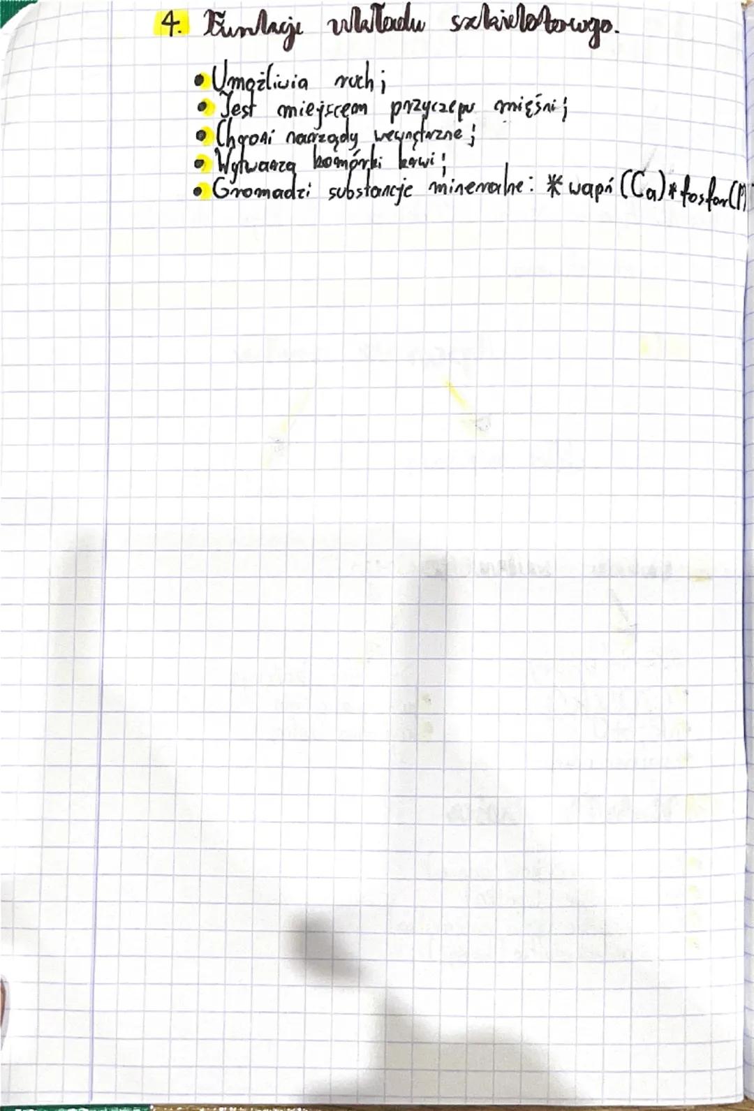 DZIAŁⅡ

Vklad Richri

Maja

Temat: Aparat ruchu. Budowa i funkcije układu
szkieletowego.

1..

parat ruchu

układ mięśniowy

uklad kostry

2