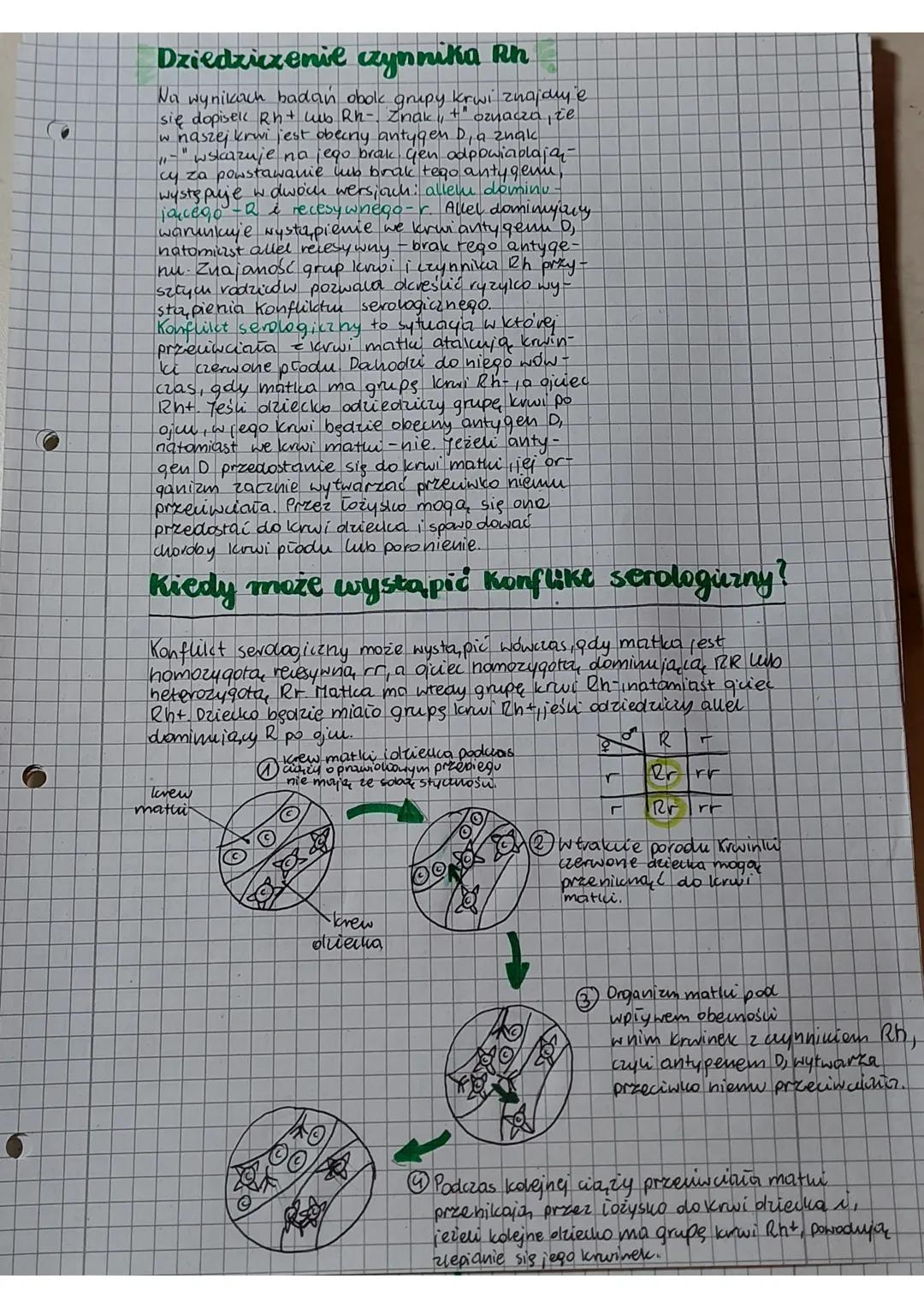 Czym jest genety ka?
Cerny disk np: Kolor skóry, rysy twarzy.
dziedziane są to cechy ooziedziczone
przez
Cechy
niedziedaizne sa
to cechy nab