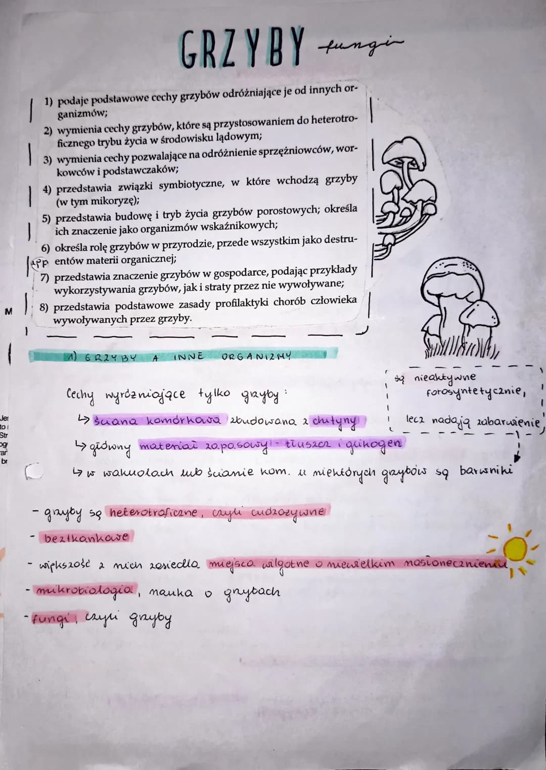 M
Je:
to
Str
og
ar
GRZYBY tungin
1) podaje podstawowe cechy grzybów odróżniające je od innych or-
ganizmów;
1
2) wymienia cechy grzybów, któ