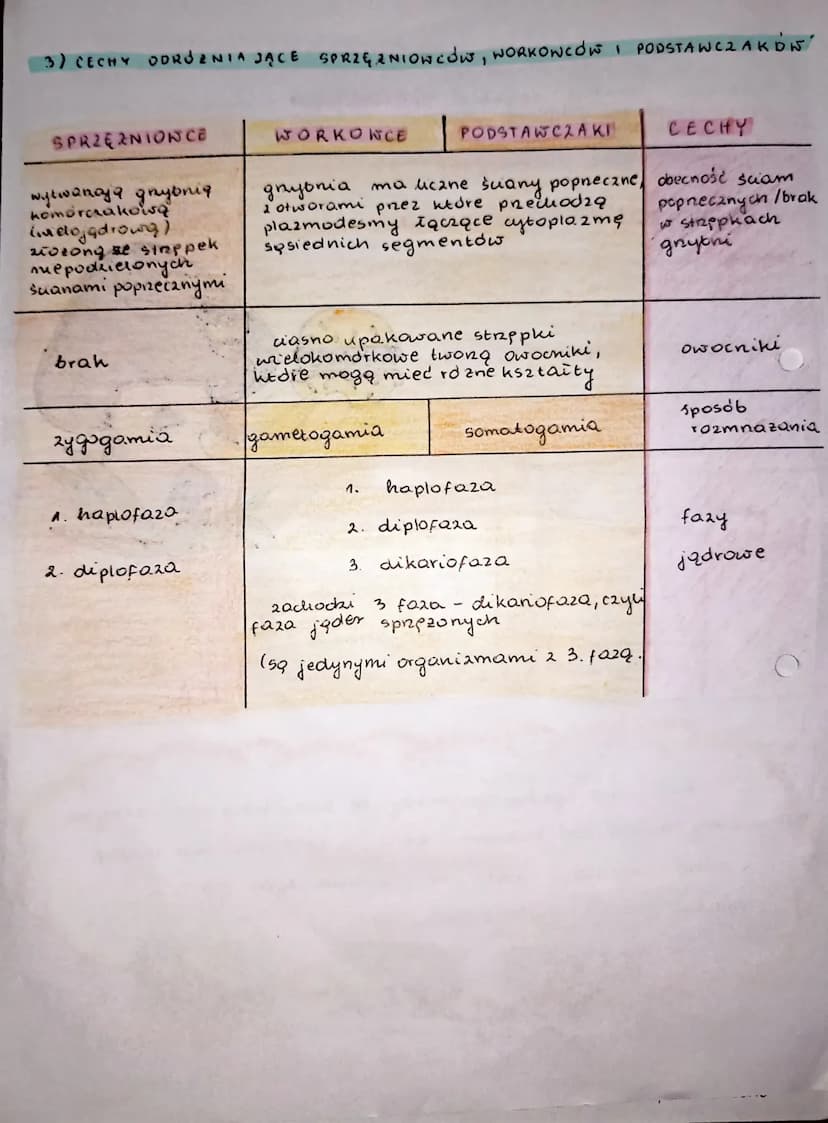 M
Je:
to
Str
og
ar
GRZYBY tungin
1) podaje podstawowe cechy grzybów odróżniające je od innych or-
ganizmów;
1
2) wymienia cechy grzybów, któ