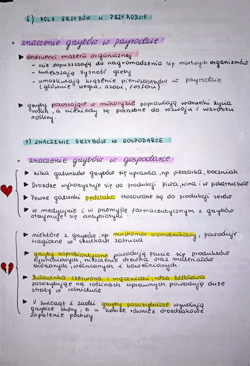 M
Je:
to
Str
og
ar
GRZYBY tungin
1) podaje podstawowe cechy grzybów odróżniające je od innych or-
ganizmów;
1
2) wymienia cechy grzybów, któ