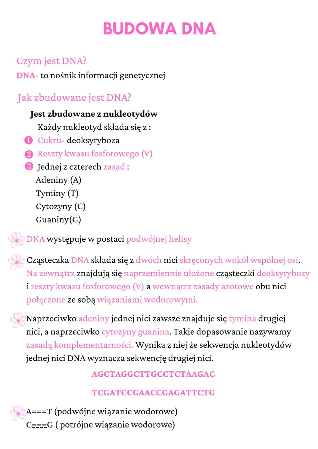 BUDOWA DNA
Czym jest DNA?
DNA- to nośnik informacji genetycznej
Jak zbudowane jest DNA?
Jest zbudowane z nukleotydów
Każdy nukleotyd składa 