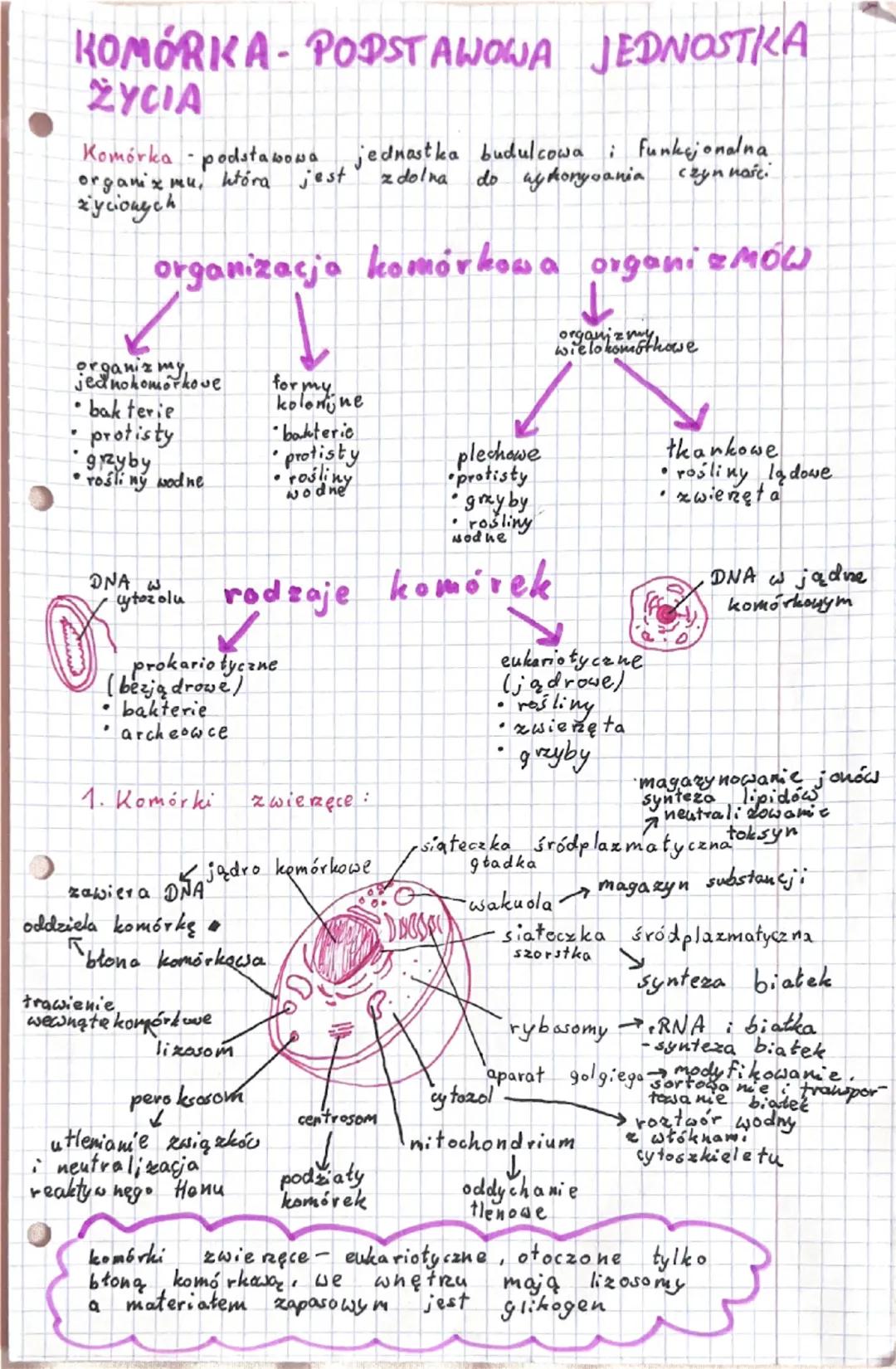 # KOMÓRKA-PODSTAWOWA JEDNOSTKA
ŻYCIA

Komórka - podstawowa jednostka budulcowa i funkcjonalna
organizmu, która jest zdolna do wykonywania cz