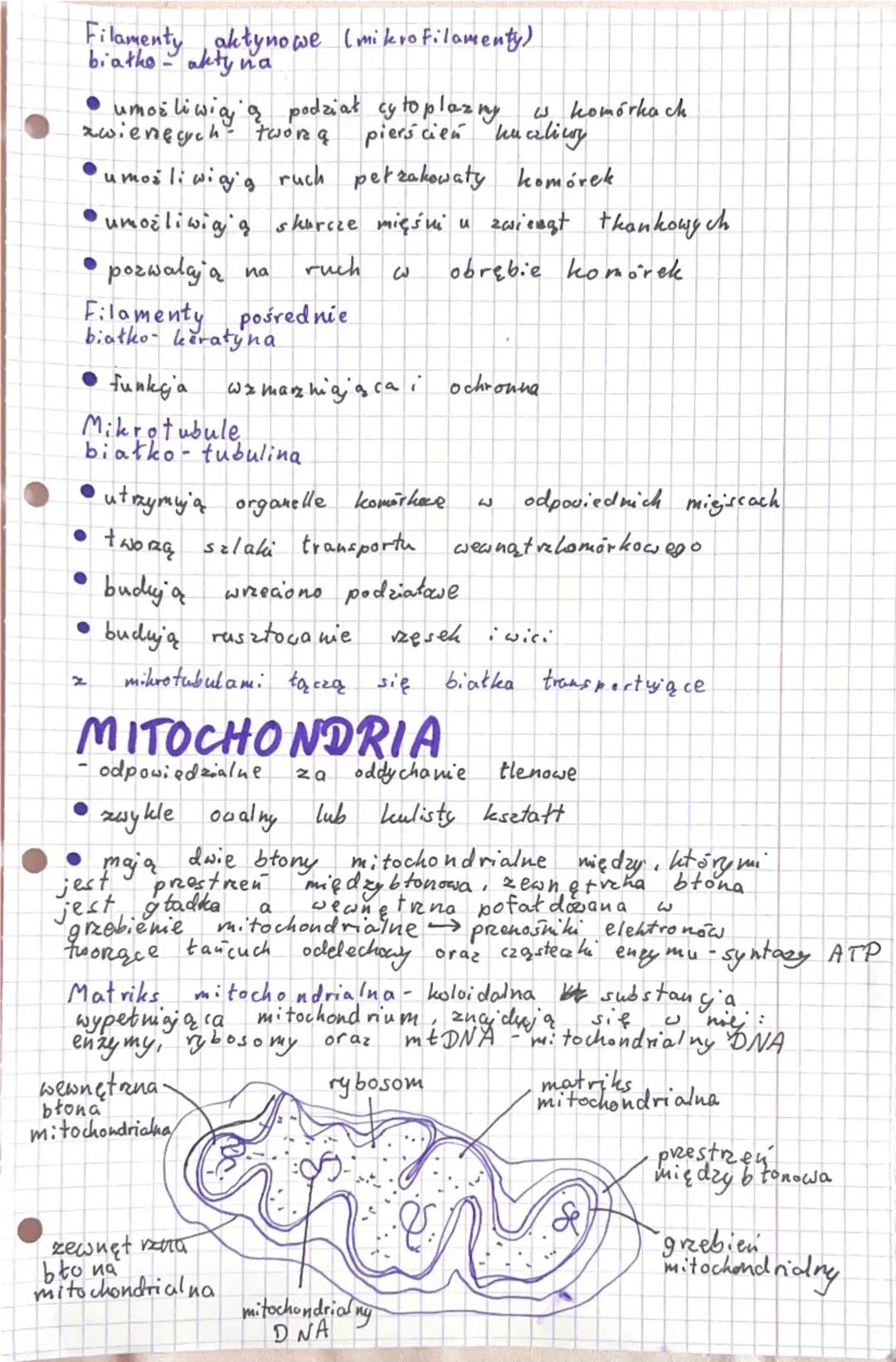 # KOMÓRKA-PODSTAWOWA JEDNOSTKA
ŻYCIA

Komórka - podstawowa jednostka budulcowa i funkcjonalna
organizmu, która jest zdolna do wykonywania cz