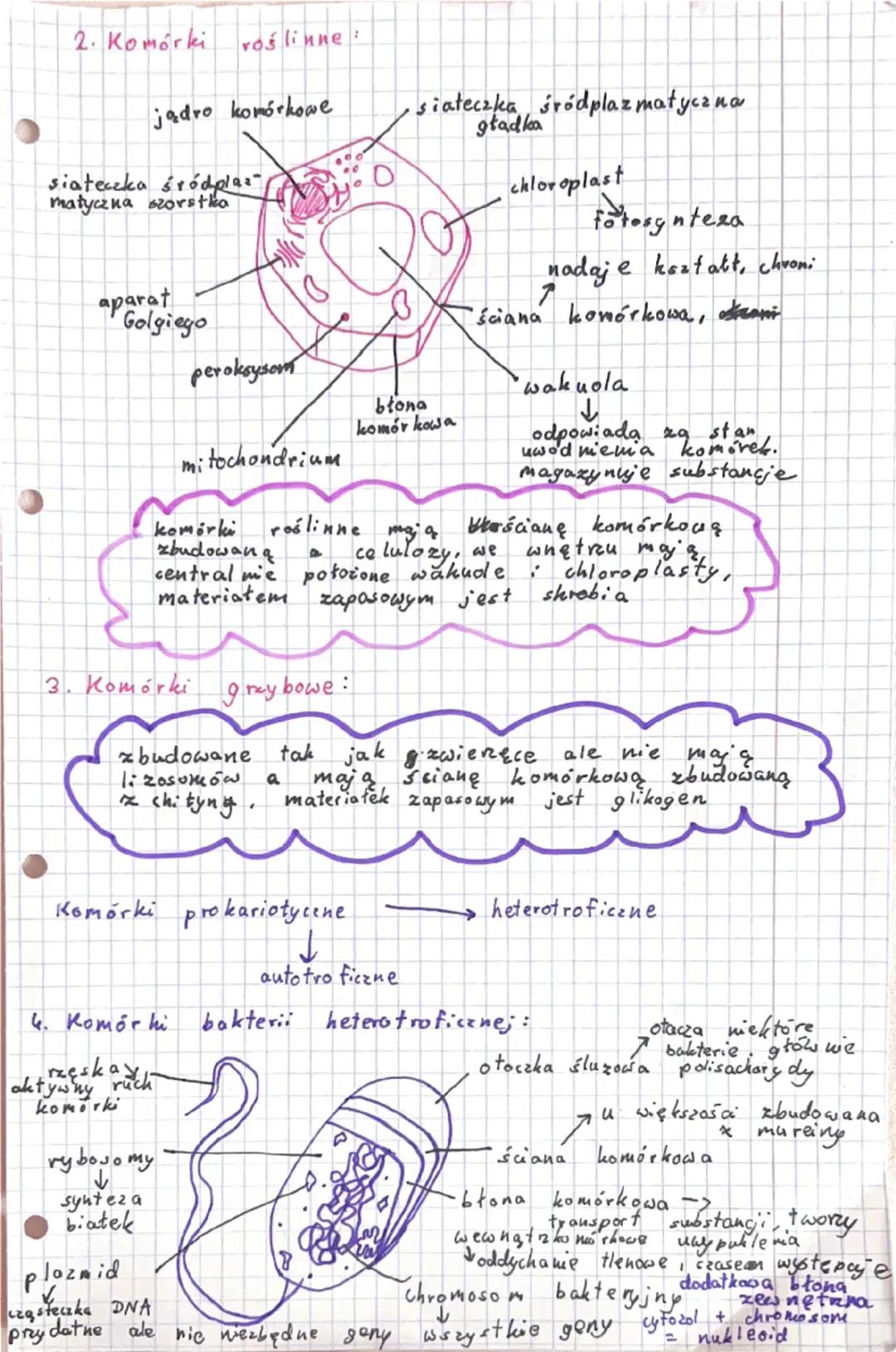 # KOMÓRKA-PODSTAWOWA JEDNOSTKA
ŻYCIA

Komórka - podstawowa jednostka budulcowa i funkcjonalna
organizmu, która jest zdolna do wykonywania cz