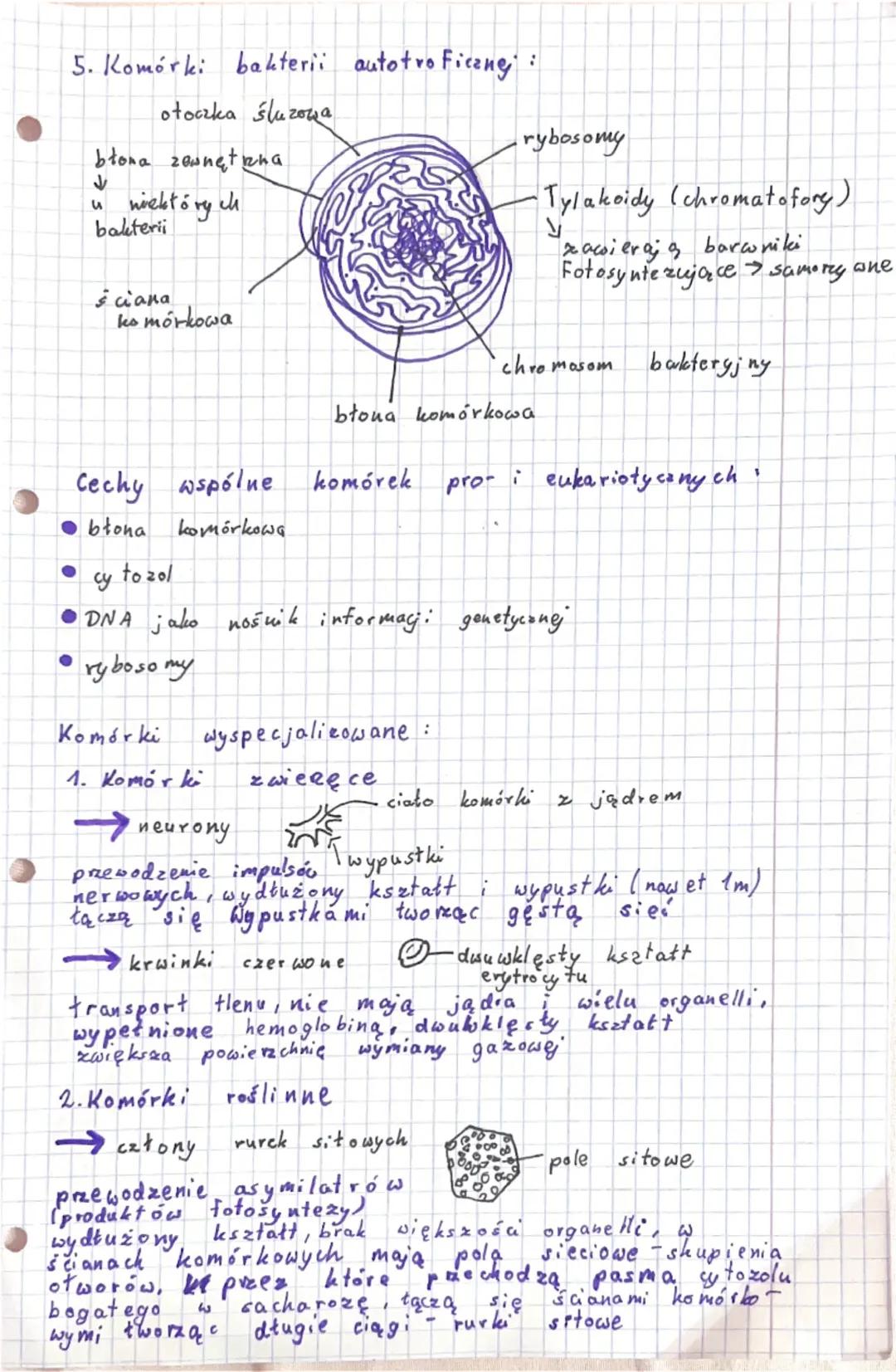 # KOMÓRKA-PODSTAWOWA JEDNOSTKA
ŻYCIA

Komórka - podstawowa jednostka budulcowa i funkcjonalna
organizmu, która jest zdolna do wykonywania cz