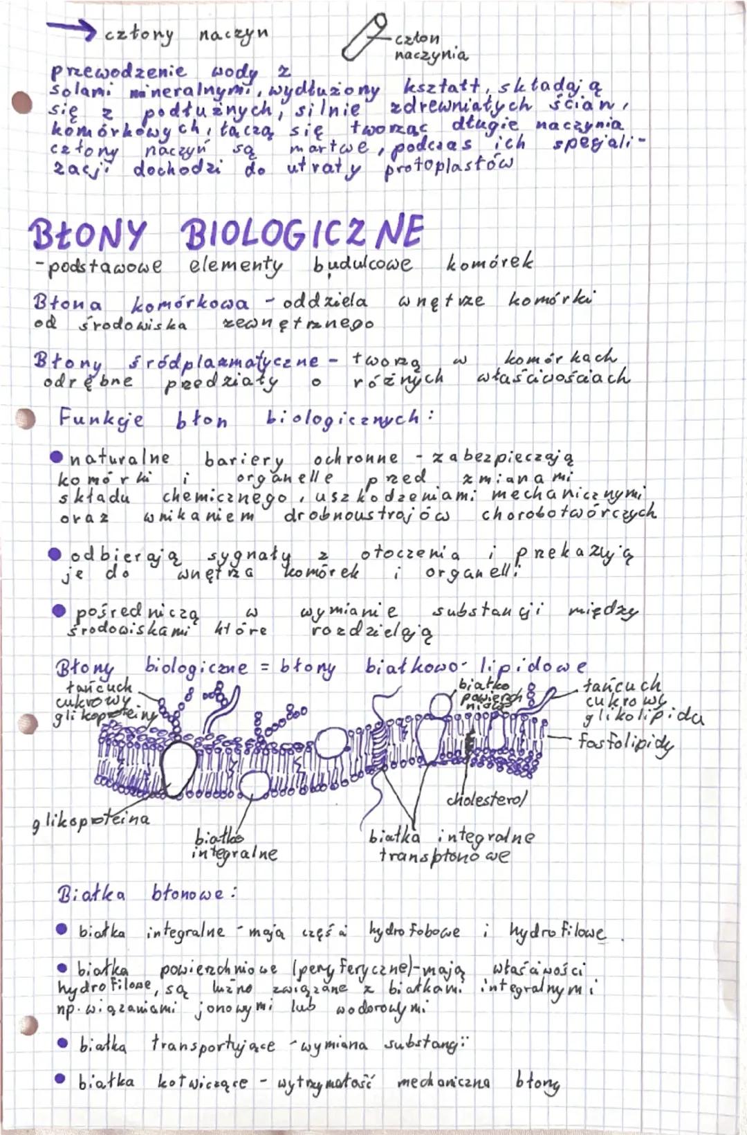 # KOMÓRKA-PODSTAWOWA JEDNOSTKA
ŻYCIA

Komórka - podstawowa jednostka budulcowa i funkcjonalna
organizmu, która jest zdolna do wykonywania cz
