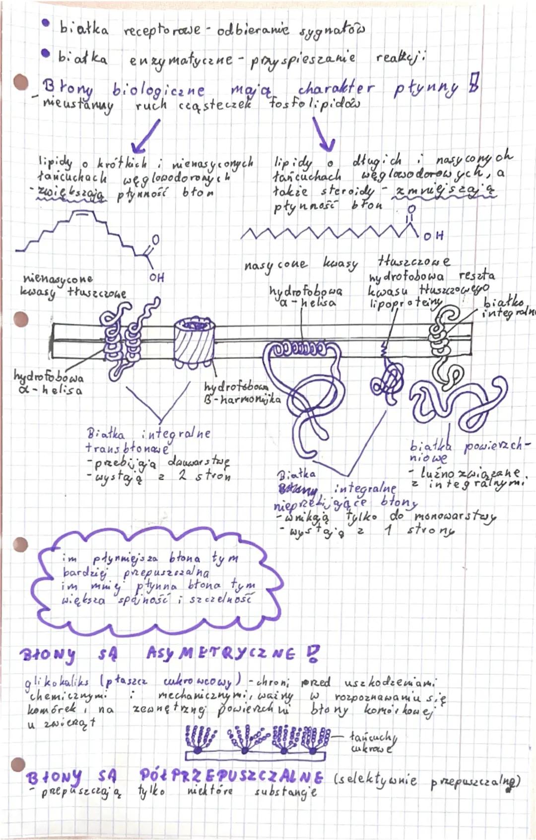 # KOMÓRKA-PODSTAWOWA JEDNOSTKA
ŻYCIA

Komórka - podstawowa jednostka budulcowa i funkcjonalna
organizmu, która jest zdolna do wykonywania cz