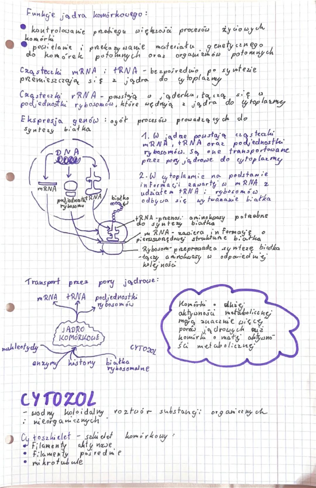 # KOMÓRKA-PODSTAWOWA JEDNOSTKA
ŻYCIA

Komórka - podstawowa jednostka budulcowa i funkcjonalna
organizmu, która jest zdolna do wykonywania cz