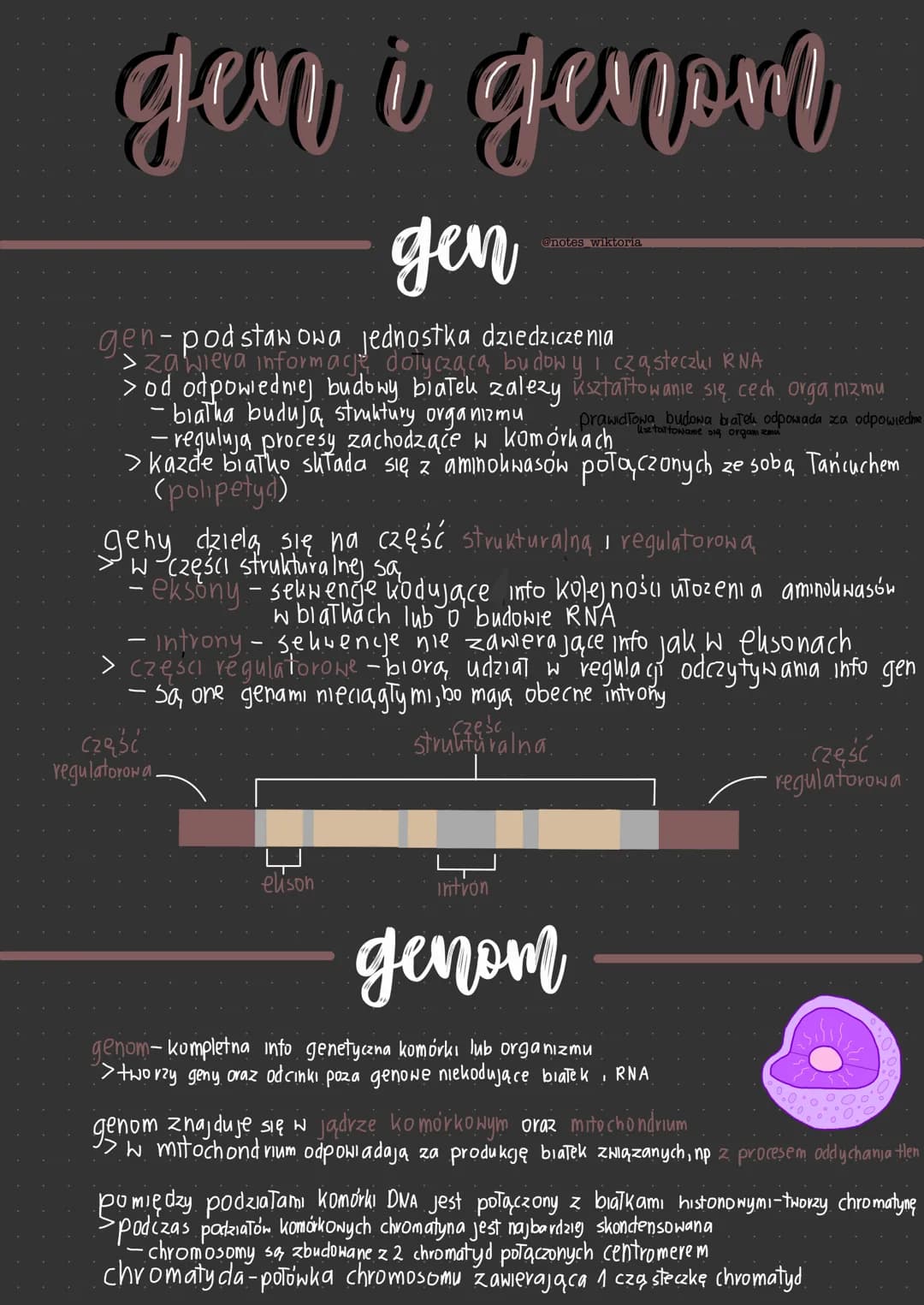 genetyka
Molekularna gen i genom
gen
gen-podstawowa jednostka dziedziczenia
>zawiera informacje
dotyczącą budowy i cząsteczki RNA
> od odpow