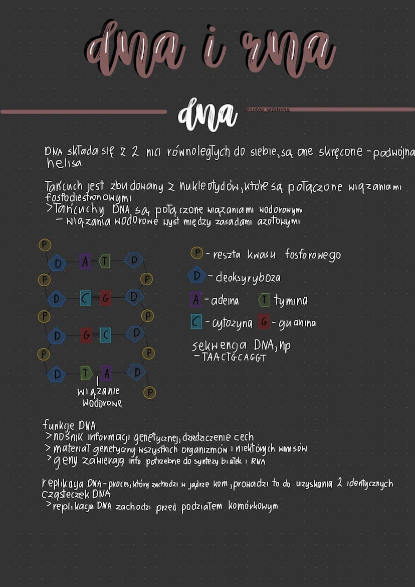 genetyka
Molekularna gen i genom
gen
gen-podstawowa jednostka dziedziczenia
>zawiera informacje
dotyczącą budowy i cząsteczki RNA
> od odpow
