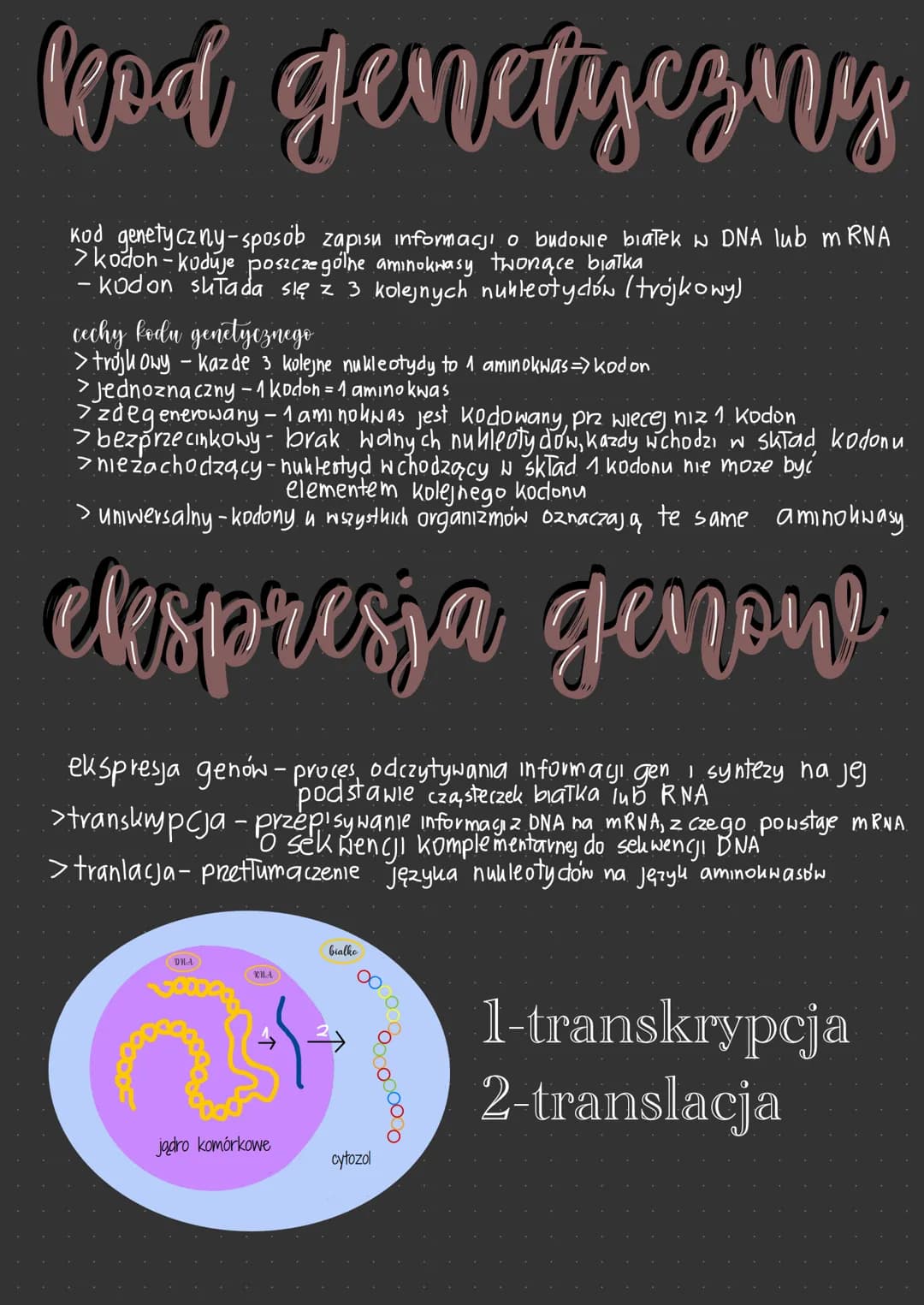 genetyka
Molekularna gen i genom
gen
gen-podstawowa jednostka dziedziczenia
>zawiera informacje
dotyczącą budowy i cząsteczki RNA
> od odpow