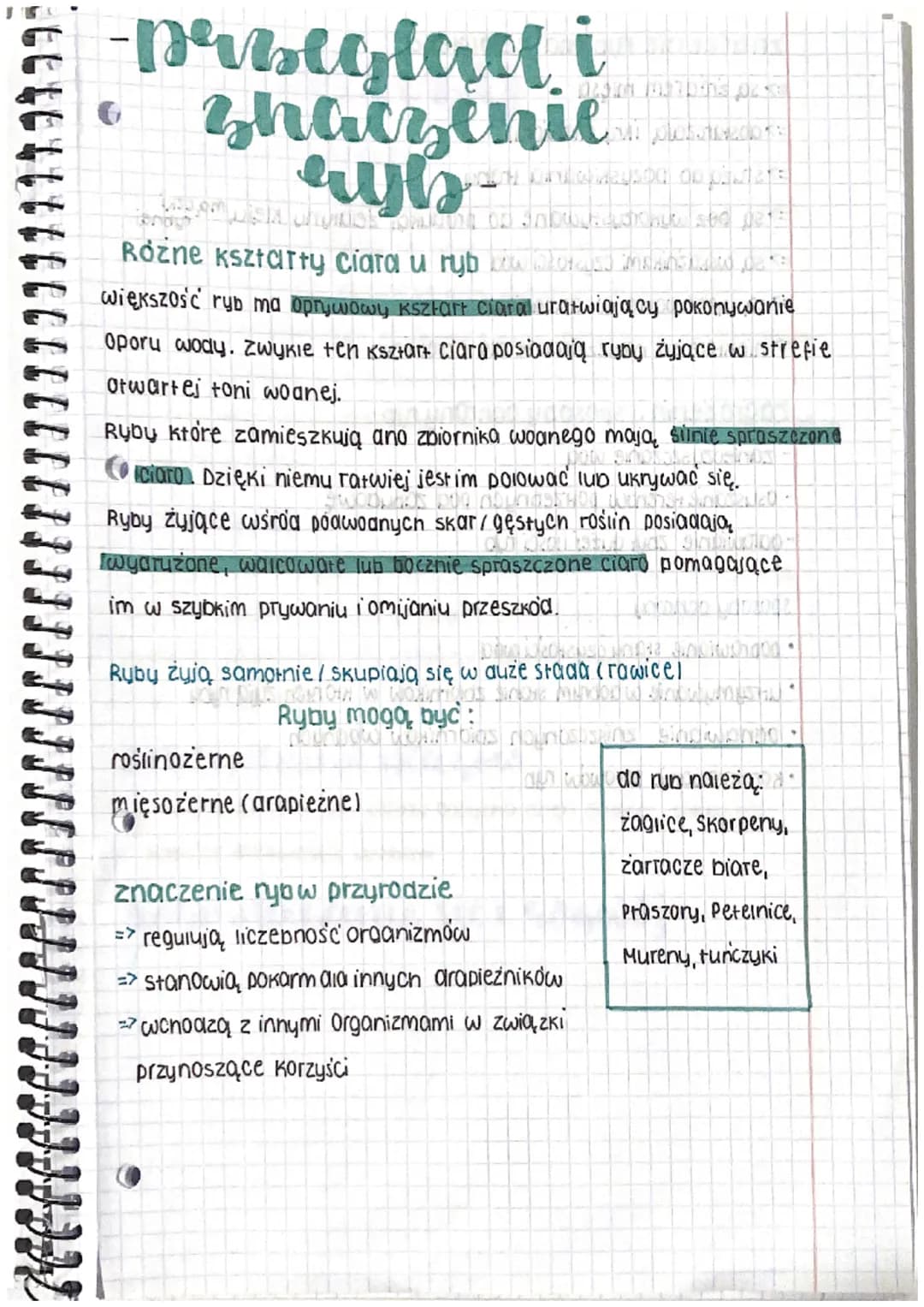 -perbeglad i
znaczenie
ayb-
from why wineysogal ou pasters
WSHUTORISE
Minh on snowth JUDICALE SUC DETE
Różne ksztarty Ciara u ryb S MEANS JE