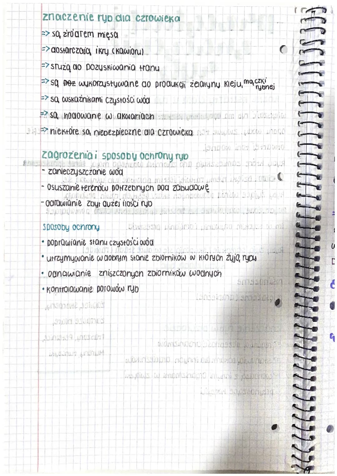 -perbeglad i
znaczenie
ayb-
from why wineysogal ou pasters
WSHUTORISE
Minh on snowth JUDICALE SUC DETE
Różne ksztarty Ciara u ryb S MEANS JE