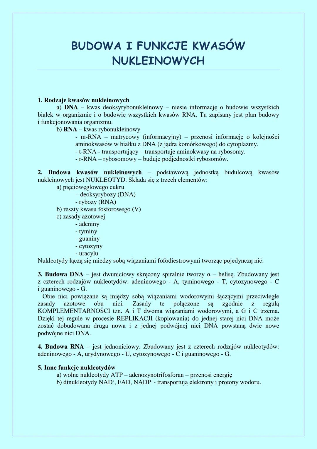 BUDOWA I FUNKCJE KWASÓW
NUKLEINOWYCH
1. Rodzaje kwasów nukleinowych
a) DNA kwas deoksyrybonukleinowy - niesie informację o budowie wszystkic