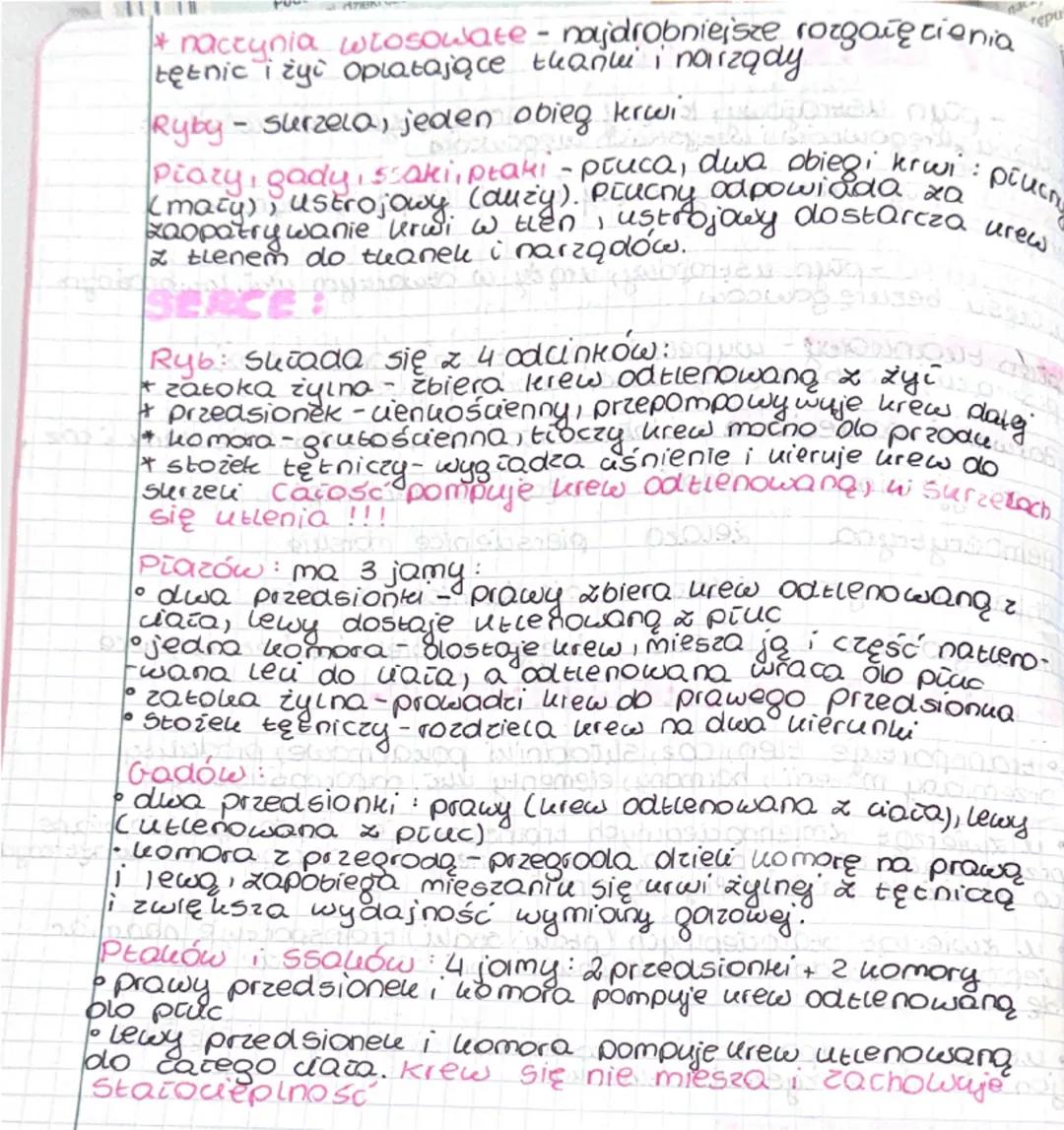 # receptorów
PEYNY USTROS
Krew-piyn ustrojowy, krazy w zamkniętym ukiadzie ler.
u częsuuręgowców i wszystkich kręgowcow
ber
piyn ustrojowy, 