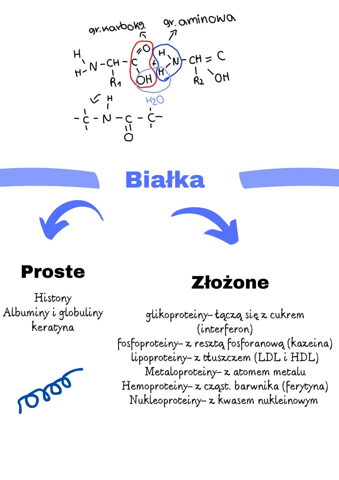 # Aminokwasy

Grupa karboksylowa ma charakter kwasowy, co oznacza, że może oddawać
proton (H+). Grupa aminowa ma charakter zasadowy, co ozna
