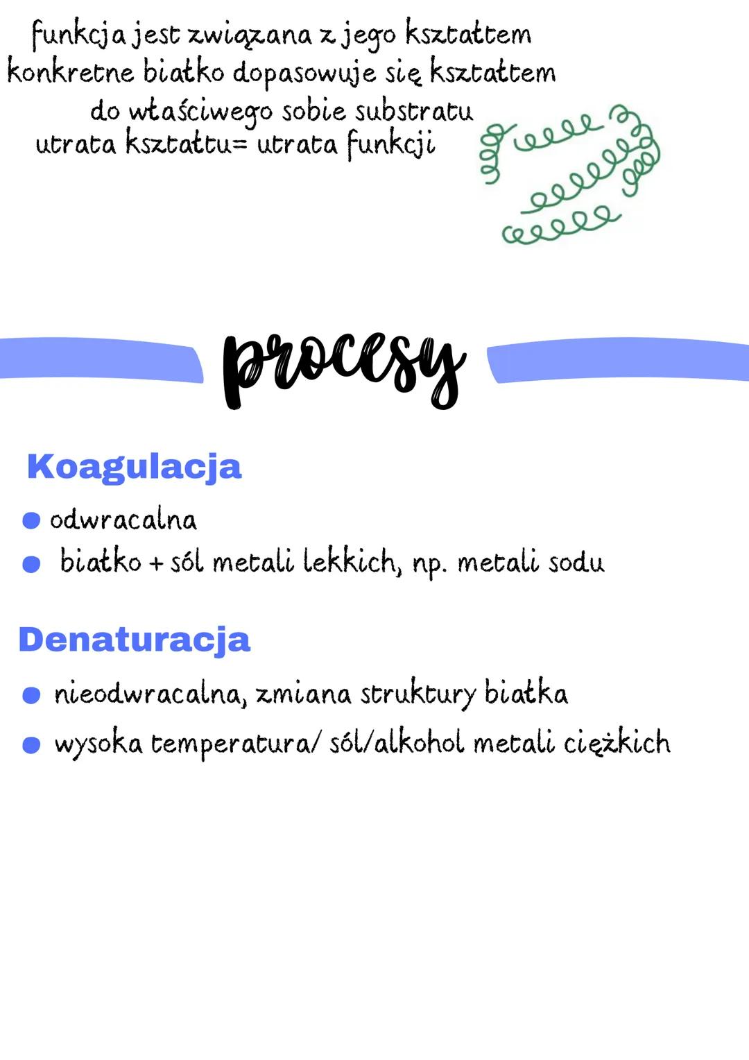 # Aminokwasy

Grupa karboksylowa ma charakter kwasowy, co oznacza, że może oddawać
proton (H+). Grupa aminowa ma charakter zasadowy, co ozna