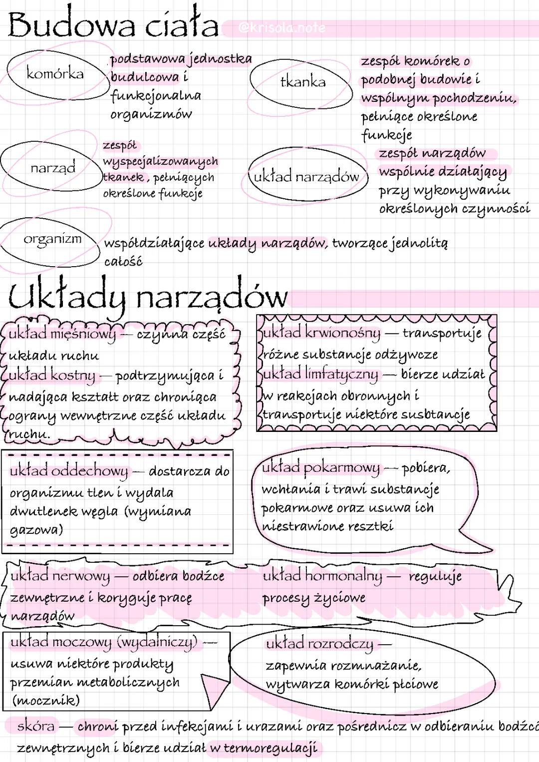 Hierarchiczna Budowa Organizmu Człowieka i Homeostaza - Nowa Era Biologia