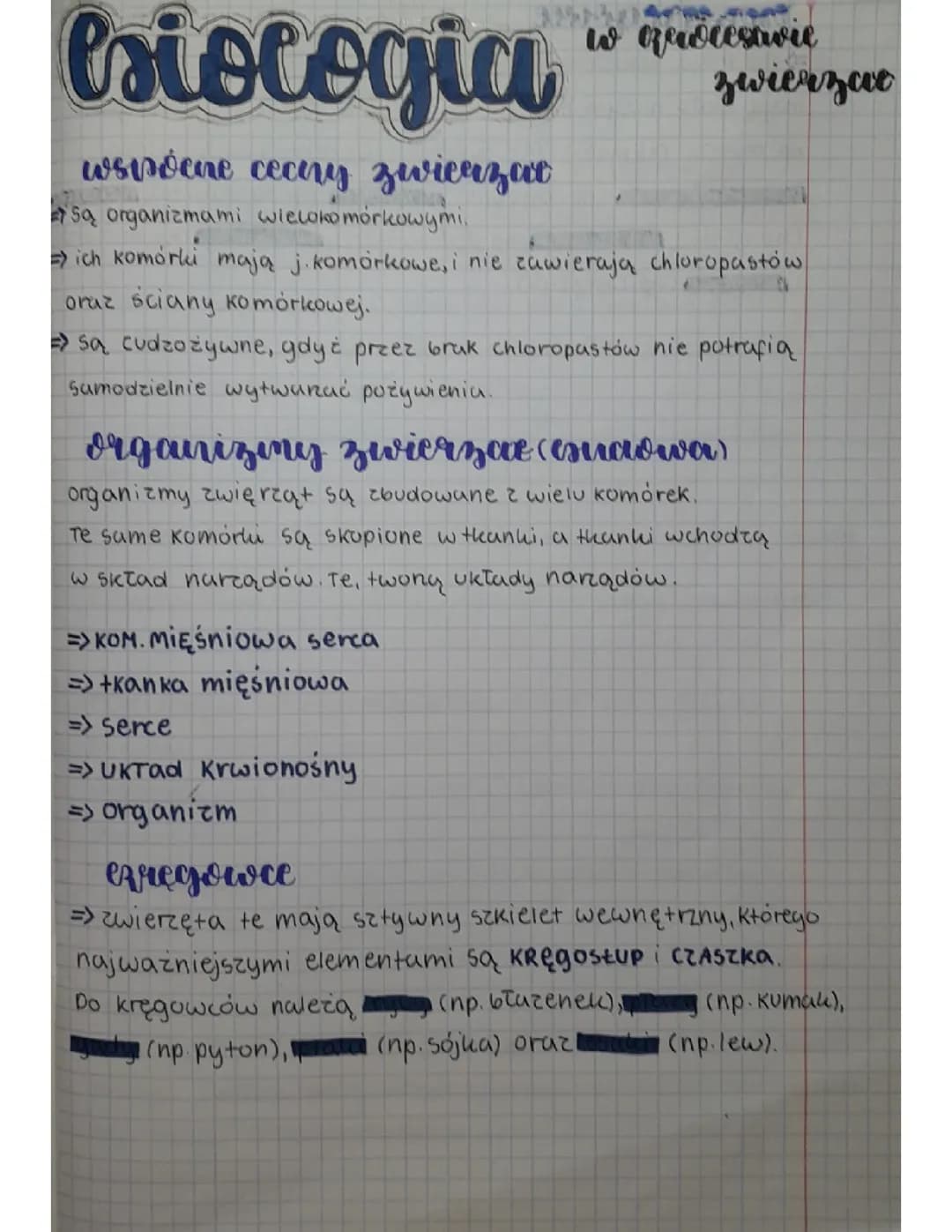 W królestwie zwierząt
