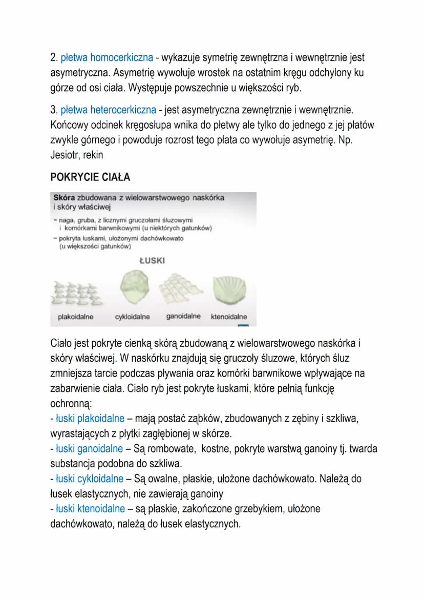 T: Ryby - żuchwowce pierwotnie wodne.
Ryby są one podstawą funkcjonowania ekosystemów wodnych, ryby są tam
drapieżnikami, regulują ilość oso