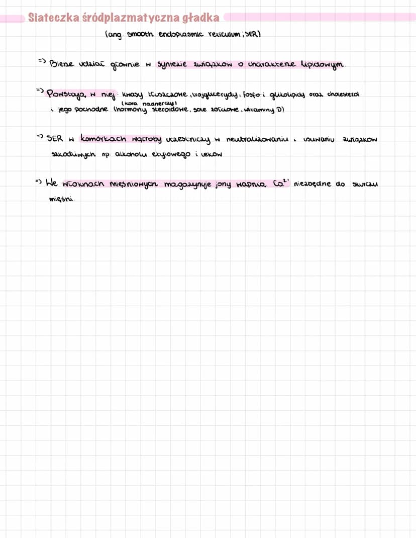 
<p>Siateczka śródplazmatyczna to system struktur biologicznych, które przyjmują postać spłaszczonych woreczków (cystern) i rozgałęzionych k