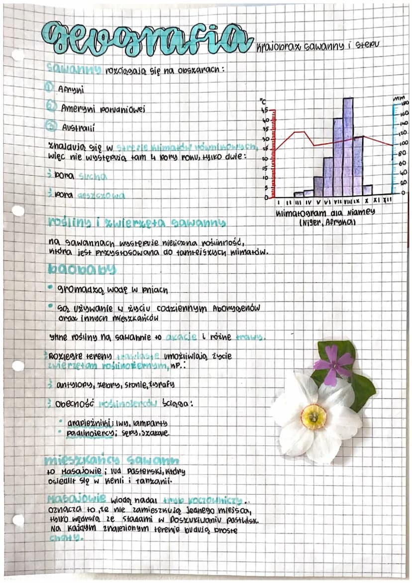 decoratias
Stepy zajmuią halwieńsse obstany w Azji.
Na innych kontynentach mają różne nazwy:
w Ameryce pornocnej to prerie
°C-
4103
50-
W Am