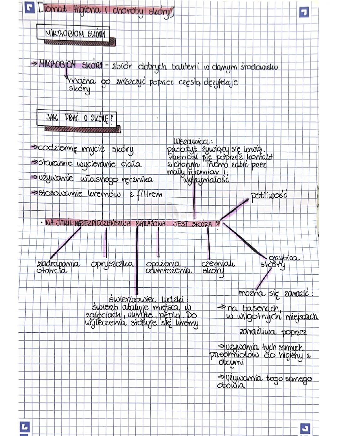 Higiena i choroby skóry - biologia 