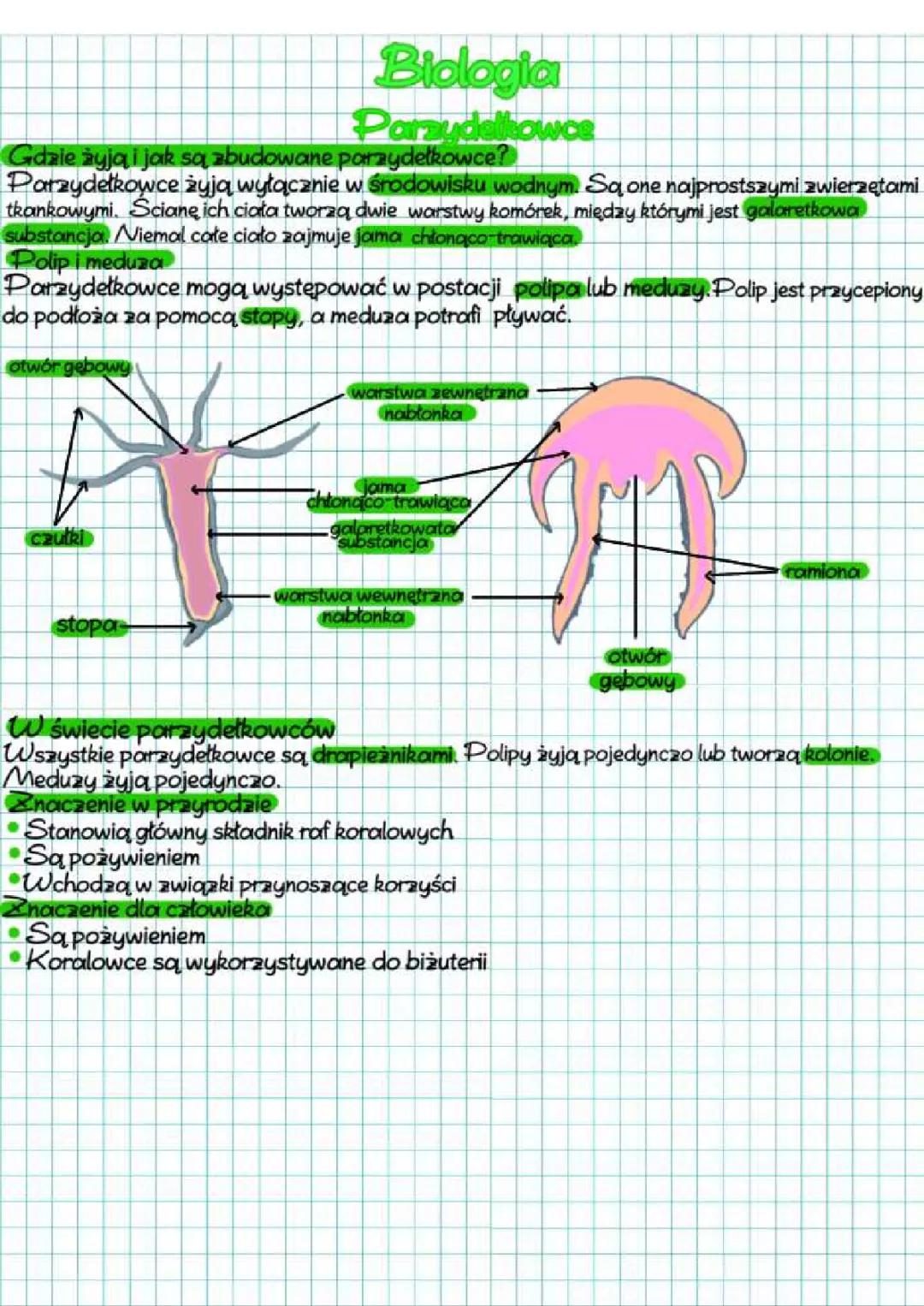 Parzydełkowce: Biologia, Cechy i Ich Znaczenie w Przyrodzie