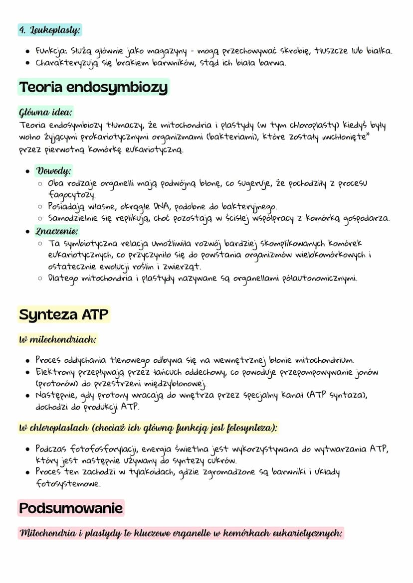 # Mitochondria
Co to są mitochondria?
Mitochondria to organelle często nazywane „centrami energetycznymi” komórki. Dzięki nim
komórka wytwar