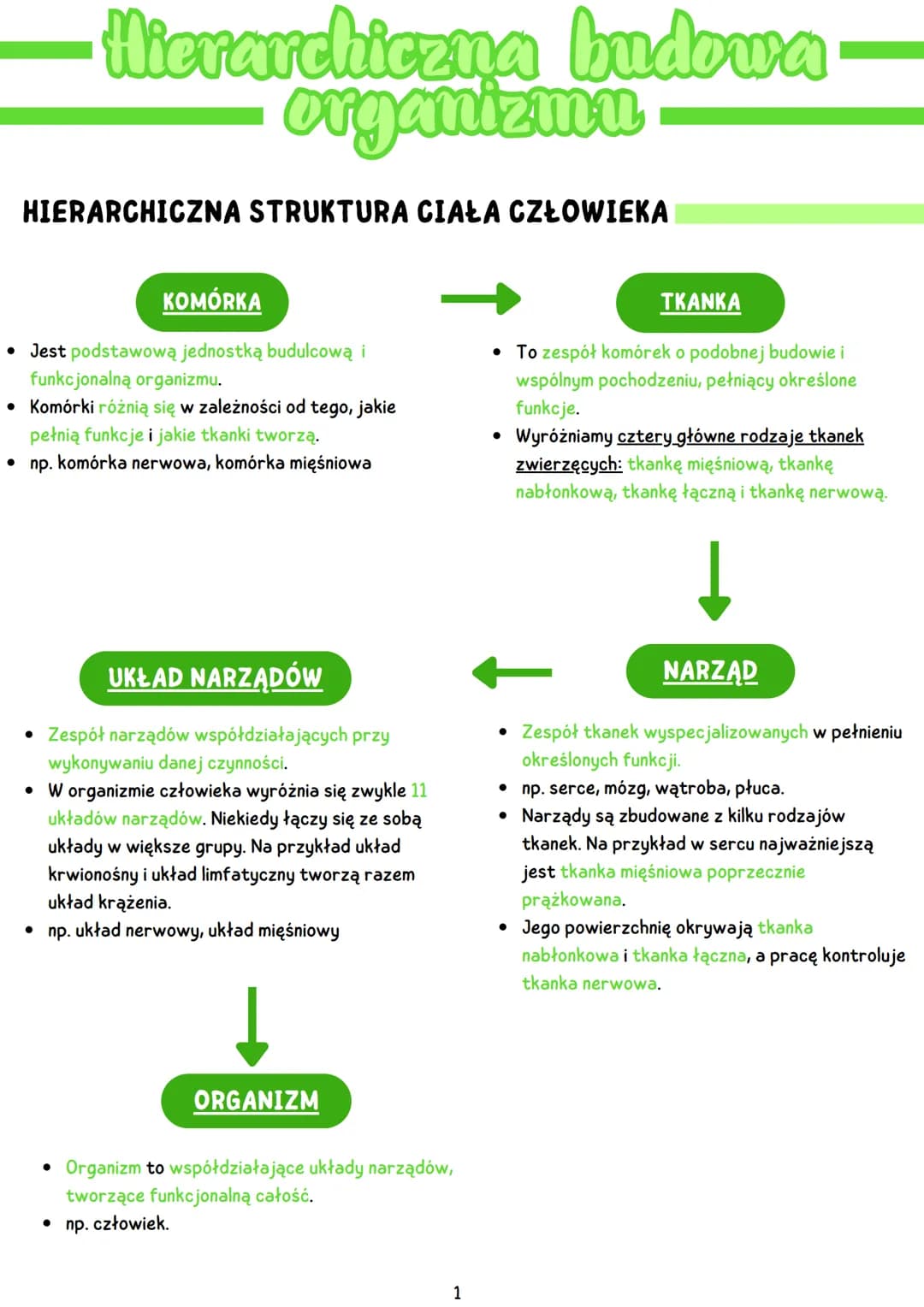 HIERARCHICZNA STRUKTURA CIAŁA CZŁOWIEKA
KOMÓRKA
• Jest podstawową jednostką budulcową i
funkcjonalną organizmu.
• Komórki różnią się w zależ