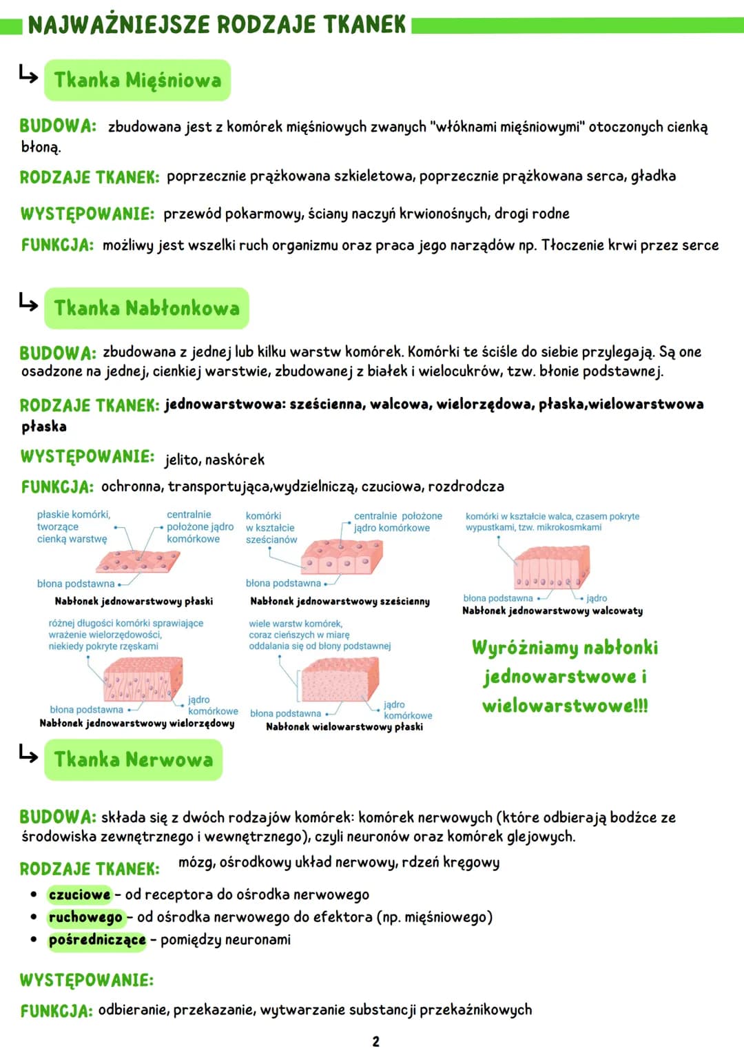 HIERARCHICZNA STRUKTURA CIAŁA CZŁOWIEKA
KOMÓRKA
• Jest podstawową jednostką budulcową i
funkcjonalną organizmu.
• Komórki różnią się w zależ