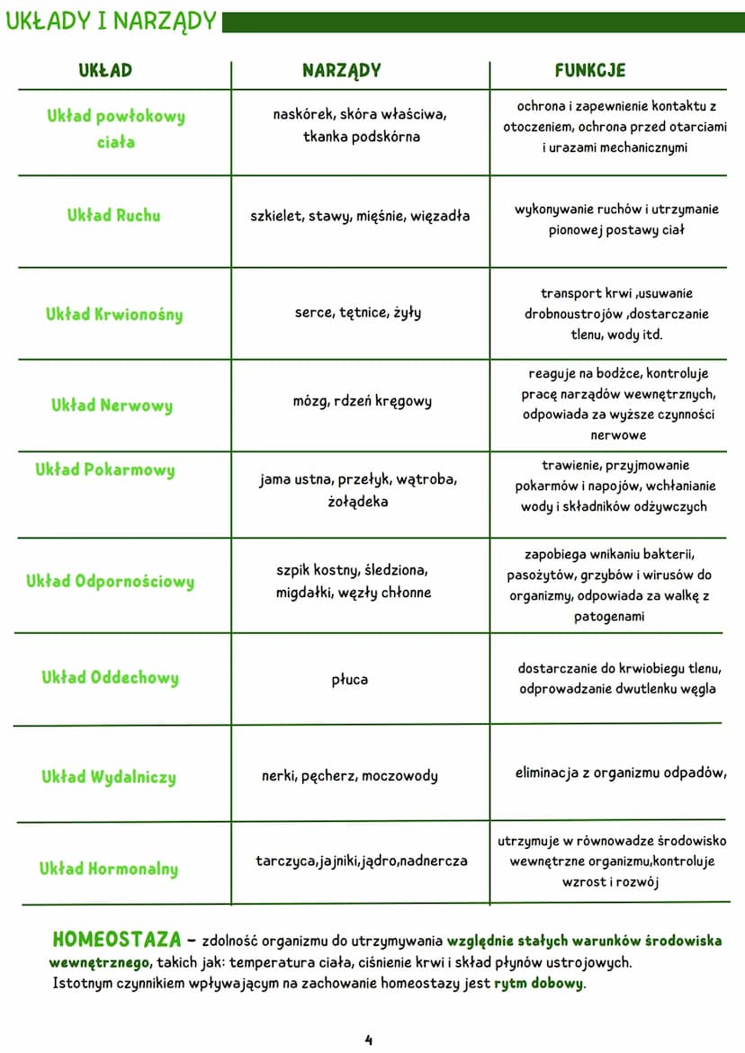 HIERARCHICZNA STRUKTURA CIAŁA CZŁOWIEKA
KOMÓRKA
• Jest podstawową jednostką budulcową i
funkcjonalną organizmu.
• Komórki różnią się w zależ