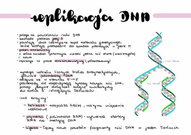 Know Replikacja DNA thumbnail