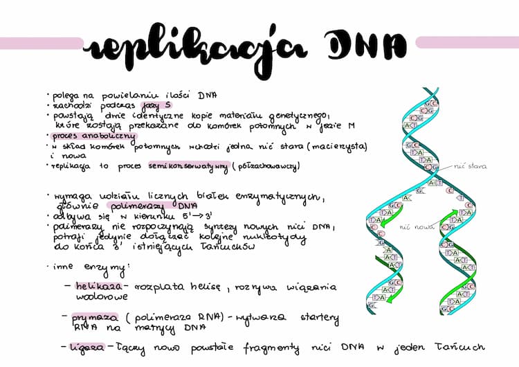 Know Replikacja DNA thumbnail