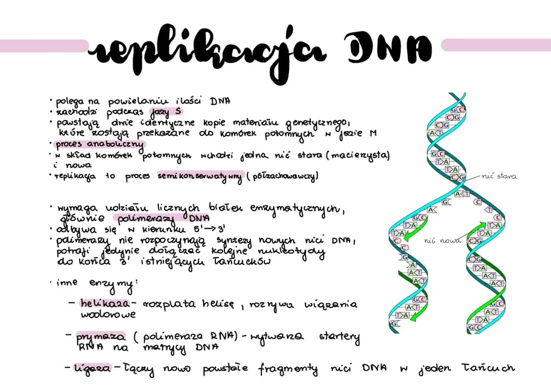Replikacja DNA